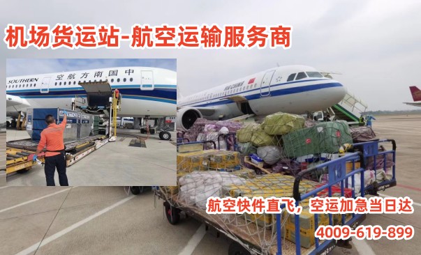 微信图片_202304041552538_副本